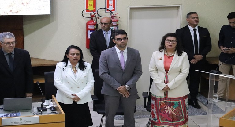 REVISTA MESA SILVANI ..