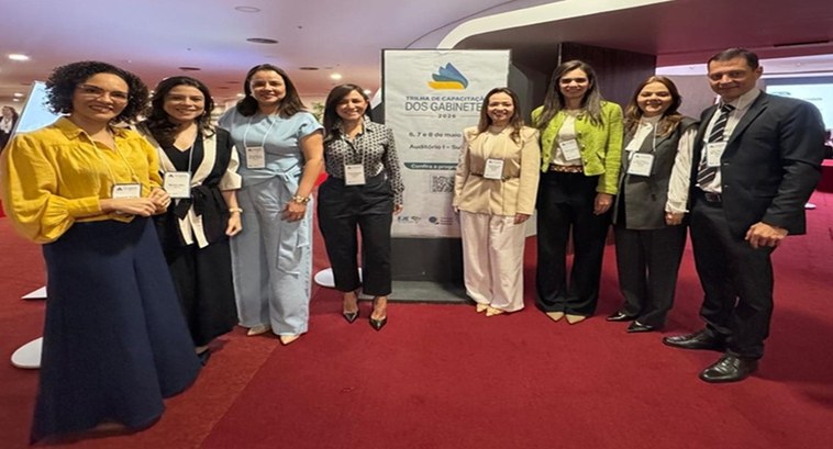 Servidoras e servidor do TRE-PI participam de capacitação em Brasília