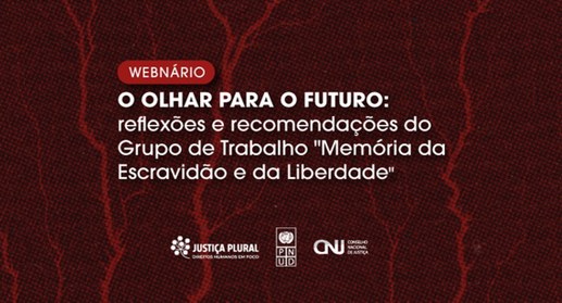 Evento no canal do conselho no YouTube apresenta conclusões do relatório final do grupo de traba...