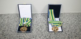 Foto da medalha prof. Fávila Ribeiro