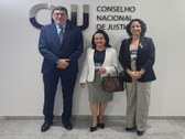 Juízas auxiliares da Presidência e Corregedoria e assessor de planejamento do TRE-PI representar...