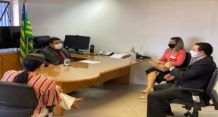 Presidente do TRE-PI discute com membros da OAB-PI participação da mulher nas Eleições 2020