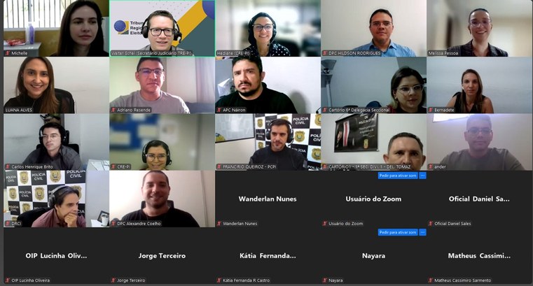TRE-PI e Polícia Civil alinham uso do PJe em reunião técnica ...