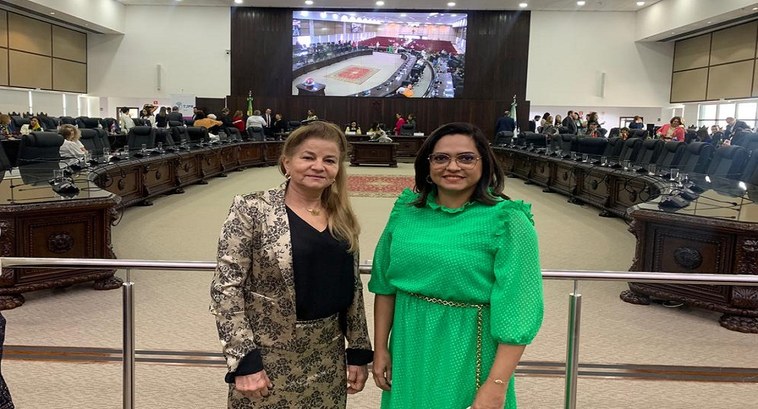 TRE-PI participa da I Reunião das Ouvidorias das Mulheres e do COCEVID ...